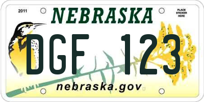 NE license plate DGF123