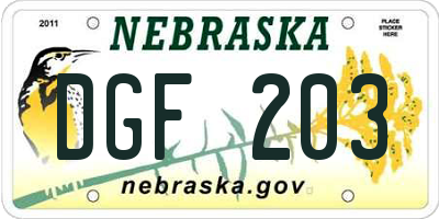 NE license plate DGF203