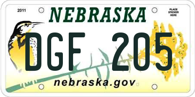 NE license plate DGF205
