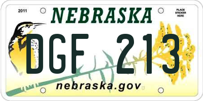 NE license plate DGF213