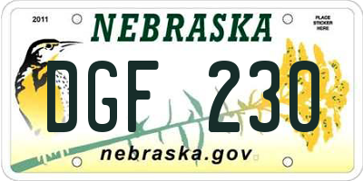 NE license plate DGF230