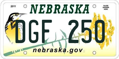 NE license plate DGF250