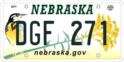 NE license plate DGF271
