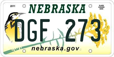 NE license plate DGF273