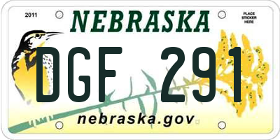 NE license plate DGF291