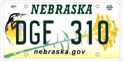 NE license plate DGF310