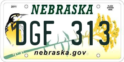 NE license plate DGF313