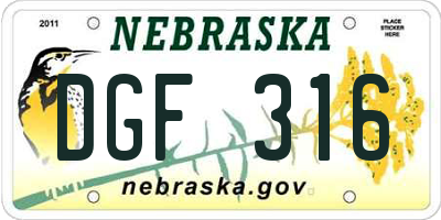 NE license plate DGF316