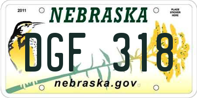 NE license plate DGF318