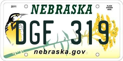 NE license plate DGF319