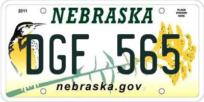 NE license plate DGF565