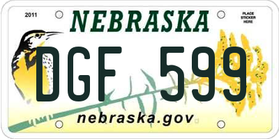 NE license plate DGF599