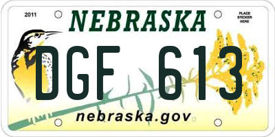 NE license plate DGF613