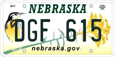 NE license plate DGF615