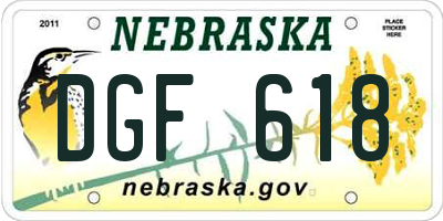NE license plate DGF618