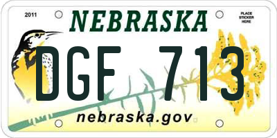 NE license plate DGF713