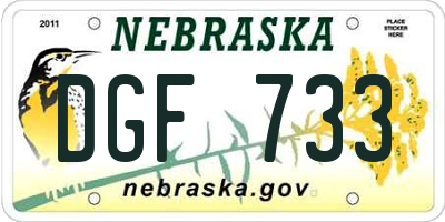 NE license plate DGF733