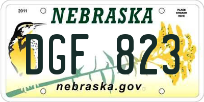 NE license plate DGF823