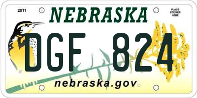 NE license plate DGF824