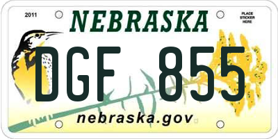 NE license plate DGF855