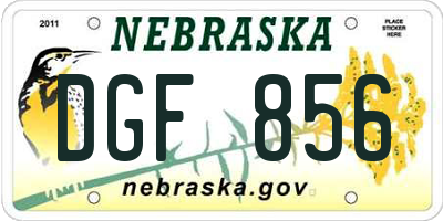 NE license plate DGF856