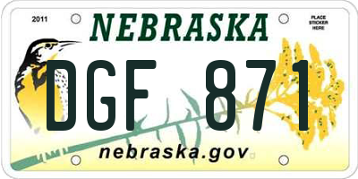 NE license plate DGF871