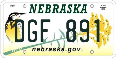NE license plate DGF891