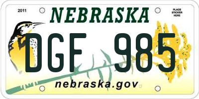 NE license plate DGF985