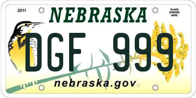 NE license plate DGF999