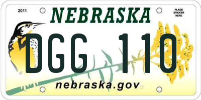 NE license plate DGG110