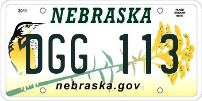 NE license plate DGG113