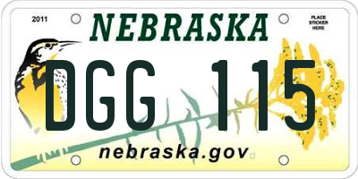NE license plate DGG115