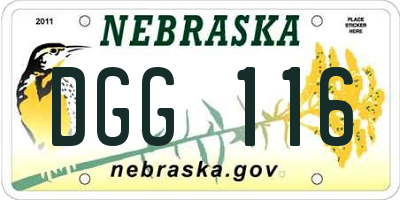 NE license plate DGG116