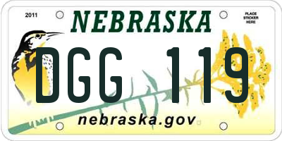NE license plate DGG119