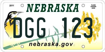 NE license plate DGG123