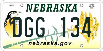 NE license plate DGG134