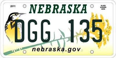 NE license plate DGG135