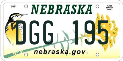 NE license plate DGG195