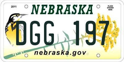NE license plate DGG197