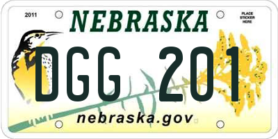 NE license plate DGG201