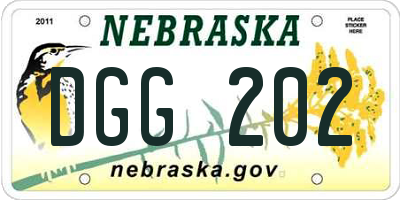 NE license plate DGG202