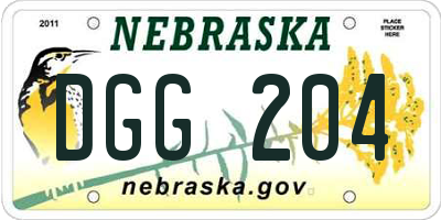 NE license plate DGG204