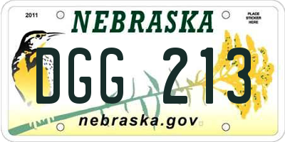 NE license plate DGG213