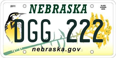 NE license plate DGG222