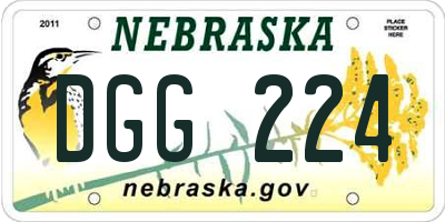 NE license plate DGG224