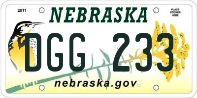 NE license plate DGG233