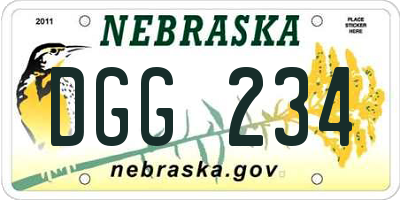 NE license plate DGG234