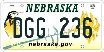 NE license plate DGG236