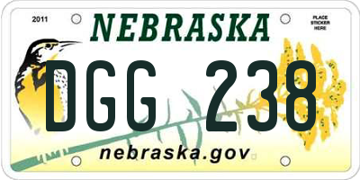 NE license plate DGG238