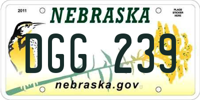 NE license plate DGG239